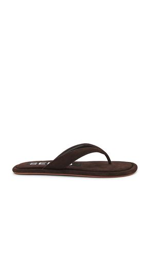 Illy Sandal in Chocolate. - size 36 (also in 38, 39, 41) - SENSO - Modalova