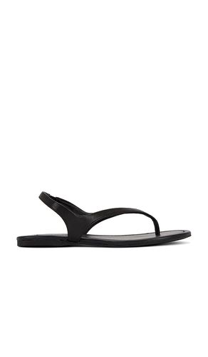 Nessa Sandal in . Size 37. Also in 38, 41 - SENSO - Modalova