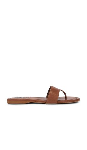 Nelly Sandal in . Size 37. Also in 38 - SENSO - Modalova