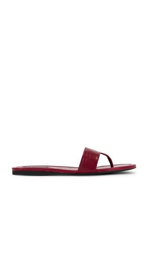 Nelly Sandal in . Size 36. Also in 37, 40, 41 - SENSO - Modalova