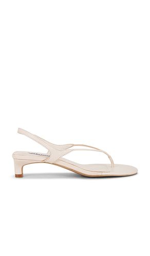 Genesis Sandal in . Size 39. Also in 40, 41 - SENSO - Modalova