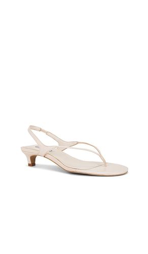Genesis Sandal in . Size 39. Also in 40, 41 - SENSO - Modalova