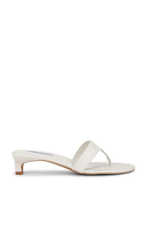 Ginta II Sandal in . Size 36. Also in 37, 38 - SENSO - Modalova