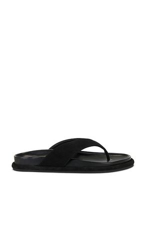 Devon Sandal in . Size 36. Also in 38, 39, 40 - SENSO - Modalova