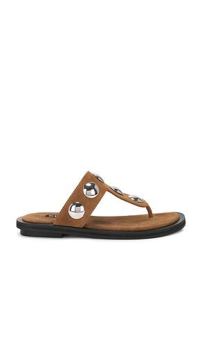 Anna II Sandal in Brown. - size 37 (also in 38, 41) - SENSO - Modalova