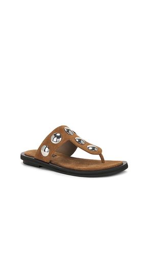 Anna II Sandal in Brown. - size 37 (also in 41) - SENSO - Modalova