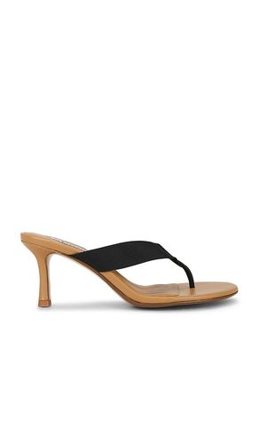 Frida Sandal in . Size 40. Also in 41 - SENSO - Modalova