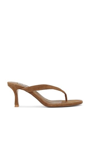 Farah I Sandal in Brown. - size 39 (also in 40) - SENSO - Modalova