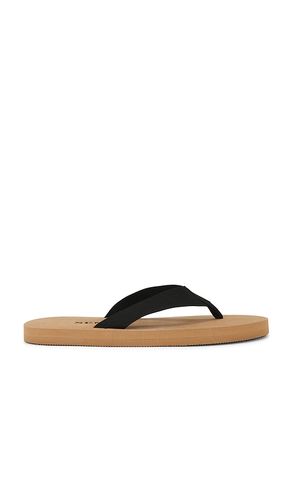 Kenny Flip Flop in ,. Size 38. Also in 39 - SENSO - Modalova