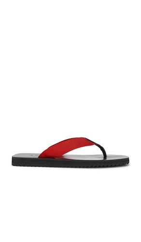 Xylon Flip Flop in . Size 38. Also in 39 - SENSO - Modalova