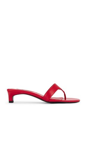Ginta II Sandal in . Size 36. Also in 41 - SENSO - Modalova