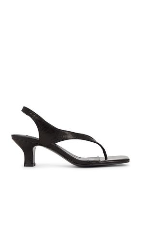 Pallas II Sandal in Black. - size 36 (also in 39) - SENSO - Modalova