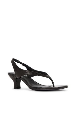 Pallas II Sandal in Black. - size 36 (also in 39) - SENSO - Modalova