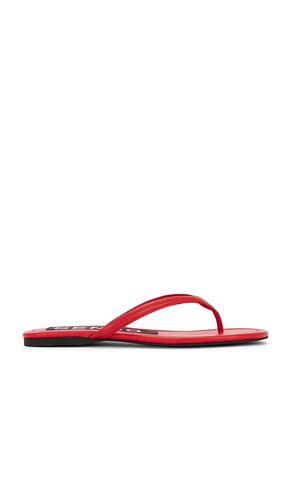 Norah I Flip Flop in Red. - size 36 (also in 39) - SENSO - Modalova