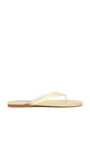 Harmony III Flip Flop in . Size 35. Also in 37, 38 - SENSO - Modalova