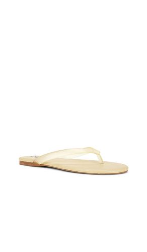 Harmony III Flip Flop in . Size 35. Also in 37, 38, 39 - SENSO - Modalova