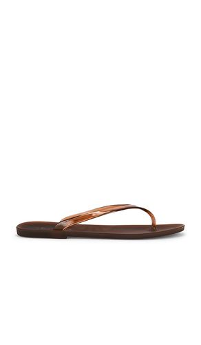 Megan Flip Flop in . Size 39. Also in 40, 41 - SENSO - Modalova