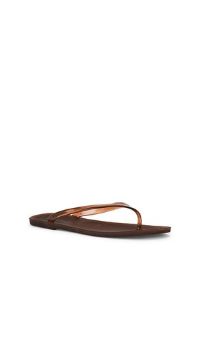 Megan Flip Flop in . Size 39. Also in 40, 41 - SENSO - Modalova