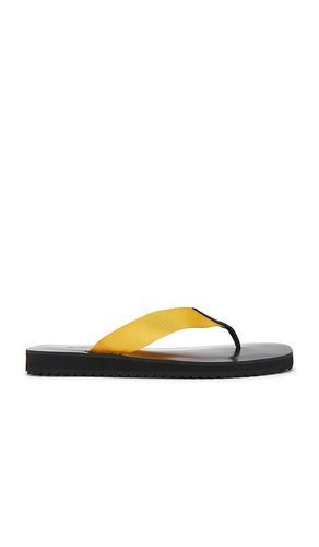 Xylon Flip Flop in . Size 35. Also in 36, 37, 38 - SENSO - Modalova
