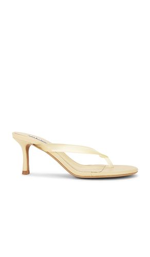 Flowe Sandal in . Size 37. Also in 38, 40 - SENSO - Modalova