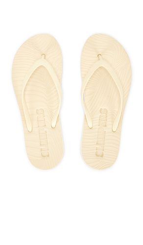 FLIP FLOPS SLIM in . Größe 36. Also in 37, 38, 39, 40, 41 - Sleepers - Modalova