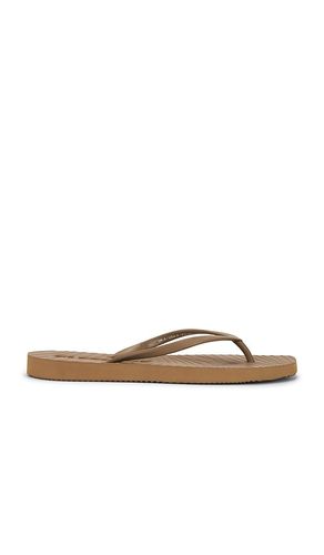 Tapered Flip Flop in Beige. - size 37 (also in 38, 39, 40, 41) - Sleepers - Modalova