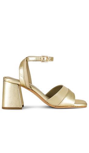 Altar Sandal in . Taglia 6 - Seychelles - Modalova