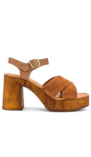 Paloma Sandal in Brown. - size 10 (also in 6, 7.5, 8, 8.5, 9, 9.5) - Seychelles - Modalova