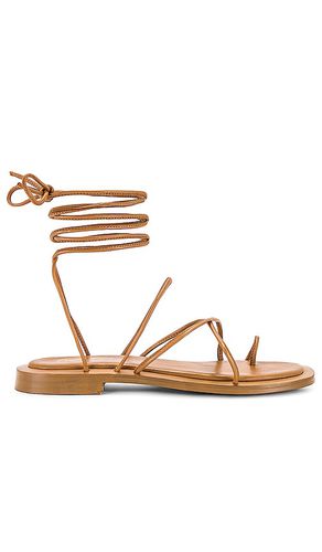 Lilac Sandal in Brown. - size 6 (also in 8.5) - Seychelles - Modalova