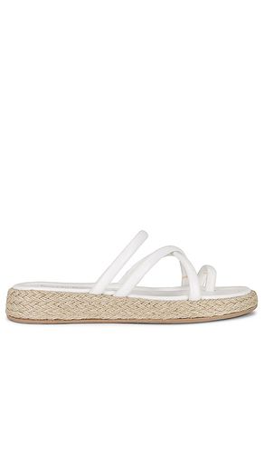 SANDALE RULE THE WORLD in . Size 7, 9, 9.5 - Seychelles - Modalova