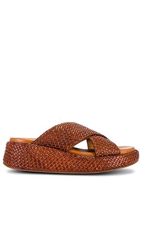 Key West Sandal in . - size 10 (also in 11, 6.5, 7, 7.5, 8, 8.5, 9, 9.5) - Seychelles - Modalova