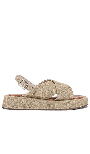 Just For Fun Sandal in Neutral. - size 10 (also in 6, 8.5, 9.5) - Seychelles - Modalova