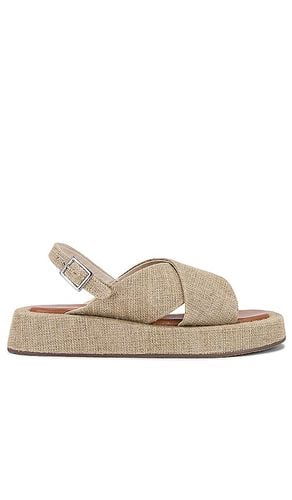 Just For Fun Sandal in . Size 6, 6.5, 8, 8.5, 9, 9.5 - Seychelles - Modalova