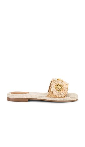 Botanical Gardens Sandal in Tan. - size 10 (also in 6, 6.5, 7, 7.5, 8, 8.5, 9, 9.5) - Seychelles - Modalova
