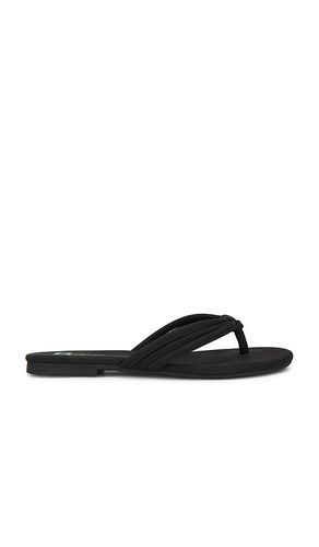 Laguna Sandal in Black. - size 6 (also in 6.5, 7, 7.5, 8, 8.5, 9, 9.5) - Seychelles - Modalova