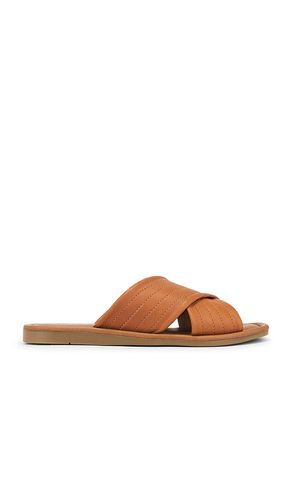 Courage Sandal in Brown. - size 6 (also in 6.5, 7, 7.5, 8, 9) - Seychelles - Modalova