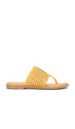 Florence Sandal in Yellow. - size 10 (also in 6, 6.5, 7, 7.5, 8, 8.5, 9, 9.5) - Seychelles - Modalova
