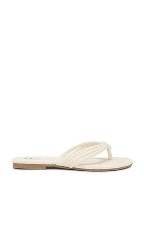 Laguna Sandal in Cream. - size 10 (also in 6, 6.5, 7, 7.5, 8, 8.5, 9, 9.5) - Seychelles - Modalova