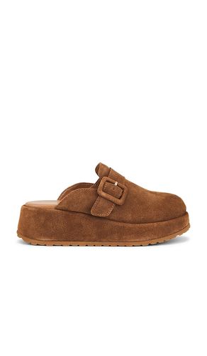 Come Together 2 Clog in Brown. - size 10 (also in 6, 6.5, 7, 7.5, 8, 8.5, 9) - Seychelles - Modalova