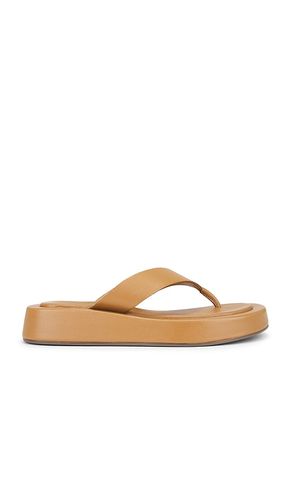 Nautical Sandal in Tan. - size 10 (also in 6.5, 7, 7.5, 8, 8.5, 9) - Seychelles - Modalova