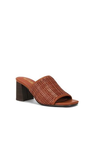 Adapt 3 Sandal in Tan. - size 6 (also in 7, 8.5, 9) - Seychelles - Modalova