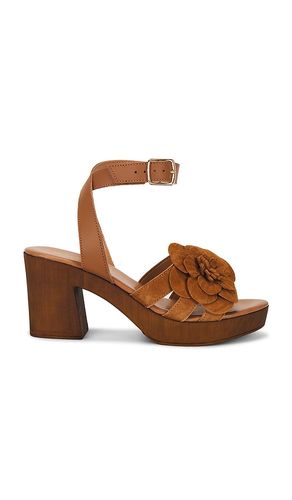 Chasing Sunsets Sandal in . Size 6. Also in 7, 7.5, 8, 8.5, 9, 9.5 - Seychelles - Modalova