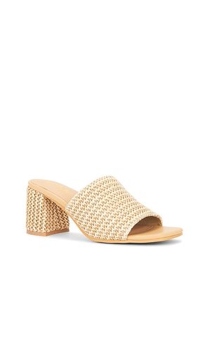 Adapt 3 Sandal in . Size 10. Also in 6, 7.5, 8, 9 - Seychelles - Modalova