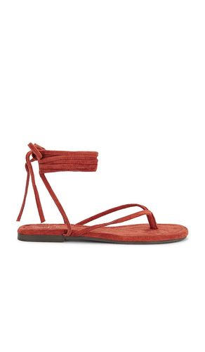 Wander The World Sandal in Brick. - size 6 (also in 9.5) - Seychelles - Modalova