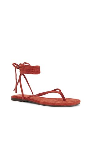 Wander The World Sandal in . Size 10. Also in 6, 9.5 - Seychelles - Modalova