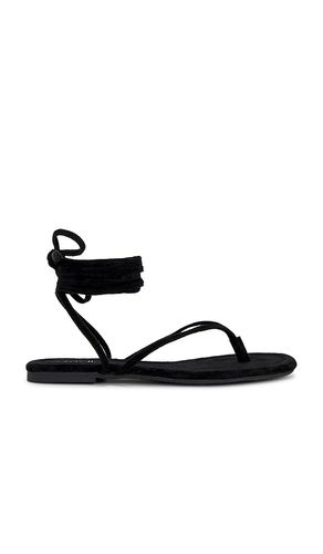 Wander The World Sandal in . Size 10. Also in 6, 8 - Seychelles - Modalova