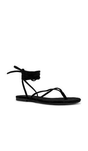 Wander The World Sandal in Black. - size 6 (also in 8) - Seychelles - Modalova
