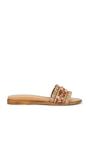 Paradise Sandal in . Size 10. Also in 6, 6.5, 8.5, 9.5 - Seychelles - Modalova
