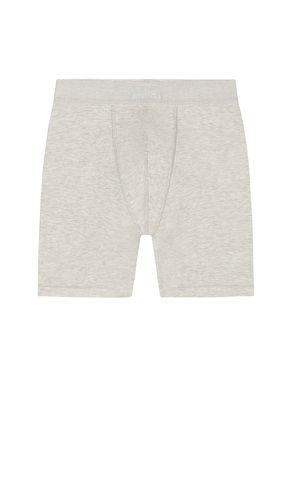 Cotton 5 Boxer Brief 3-Pack in Grey. - size L (also in M, S, XL/1X, XXL/2X) - SKIMS - Modalova