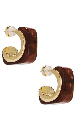 SHASHI Tort Lucite Hoop in Brown - SHASHI - Modalova